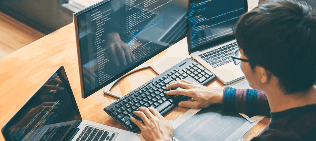 Web Development