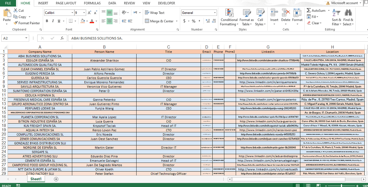 Lead generation project for Spain IT companies